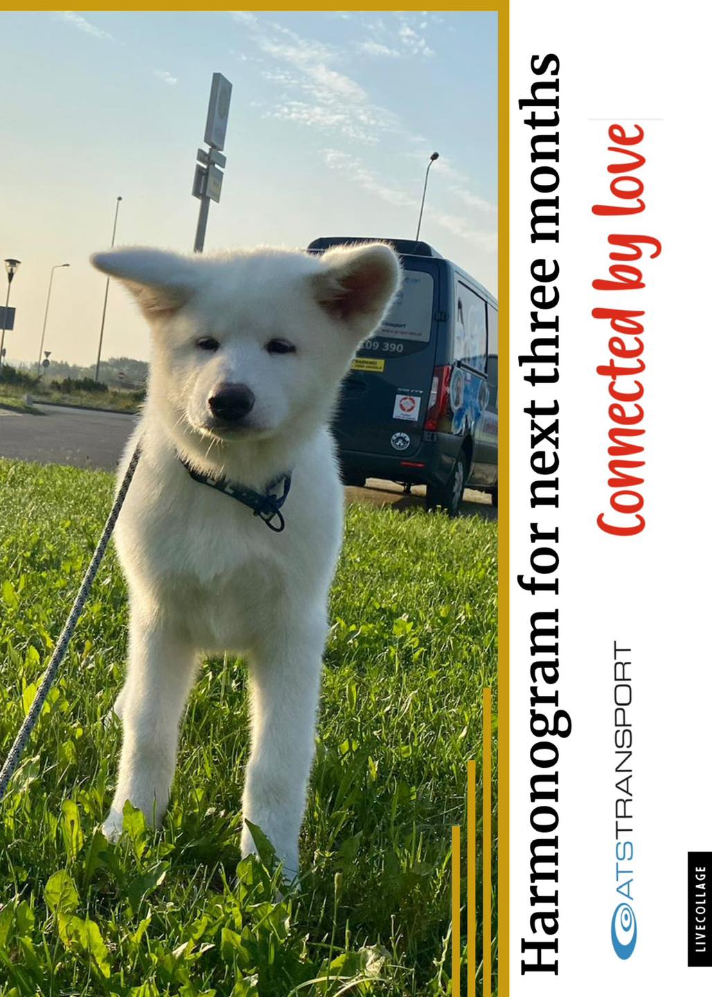 307483594_5325210347527827_5050429371083827495_n