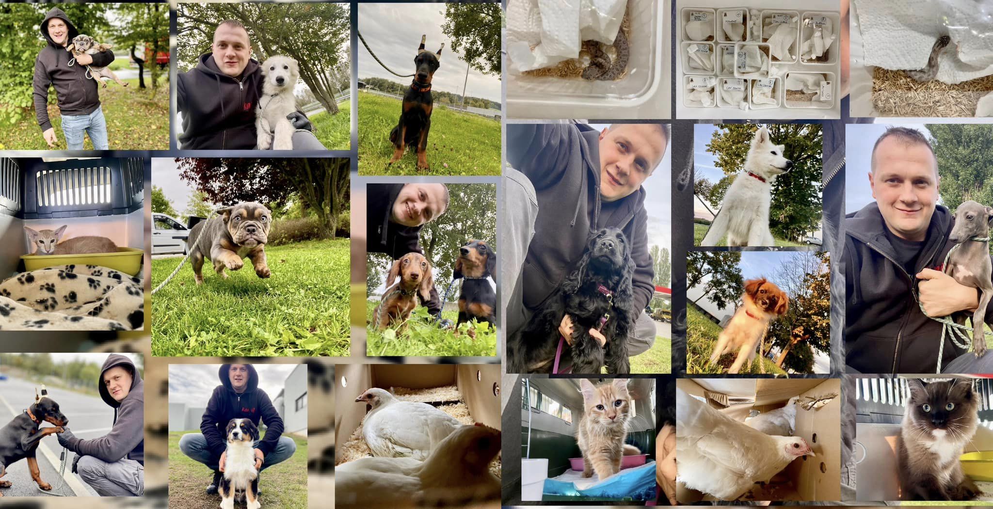 309221459_1725328381174484_7148762080938833231_n