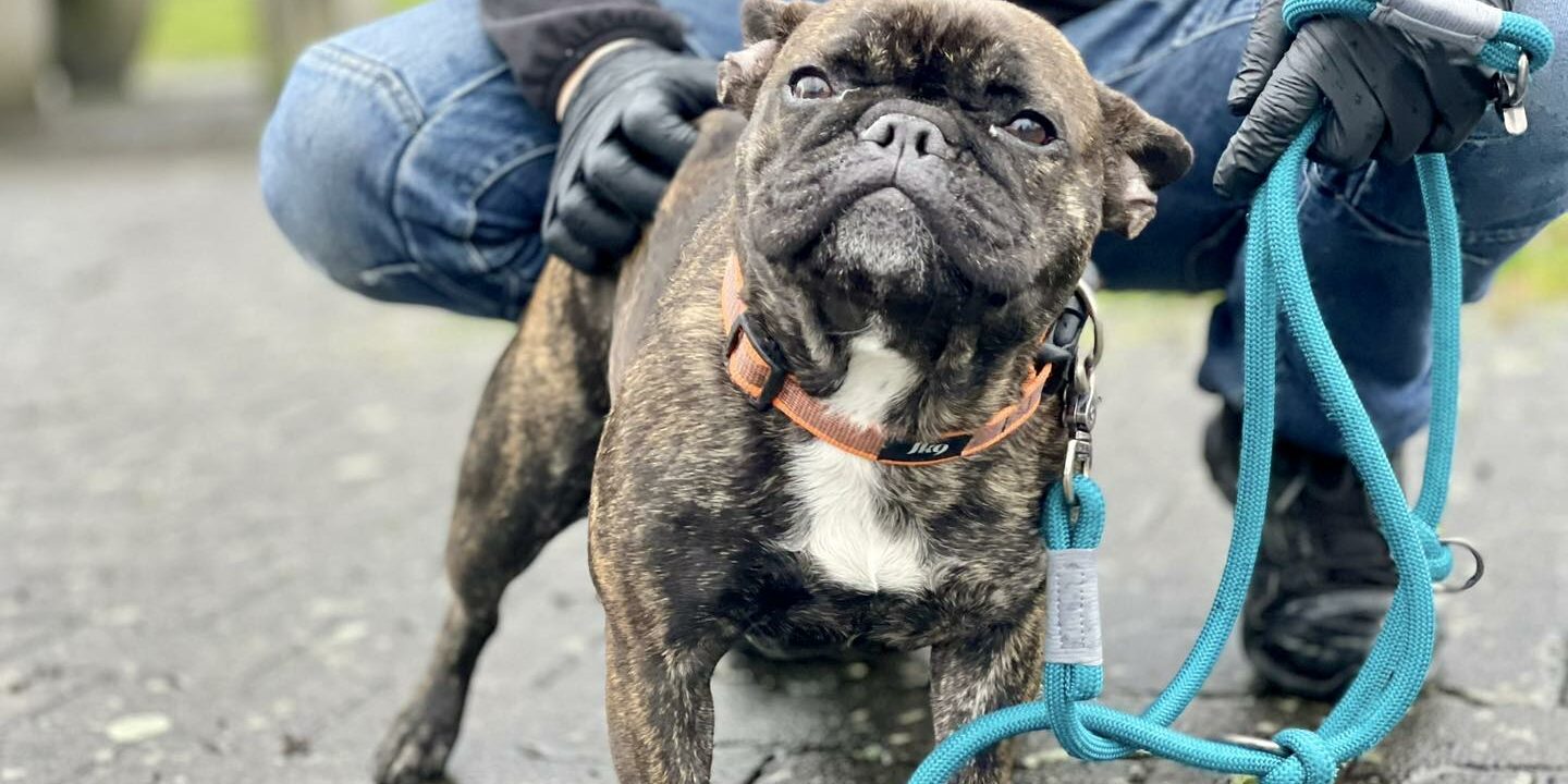 324255596_1136259070421524_3423008152879194321_n