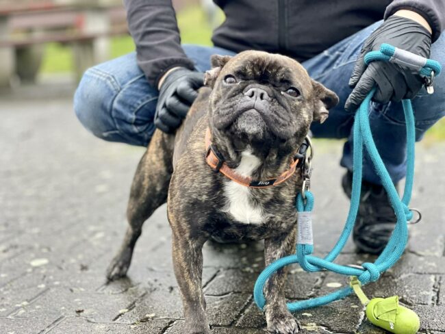 324255596_1136259070421524_3423008152879194321_n