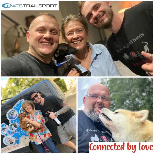 379024724_833152218583085_6397815152965224662_n