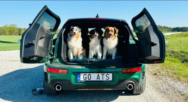 goATS