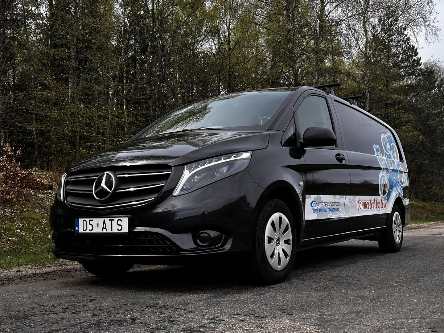 434469953_969071208324518_9184986185329231872_n