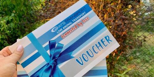 457371870_928444859328307_5419452590281193166_n